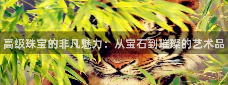 高州市新航线娱乐俱乐部