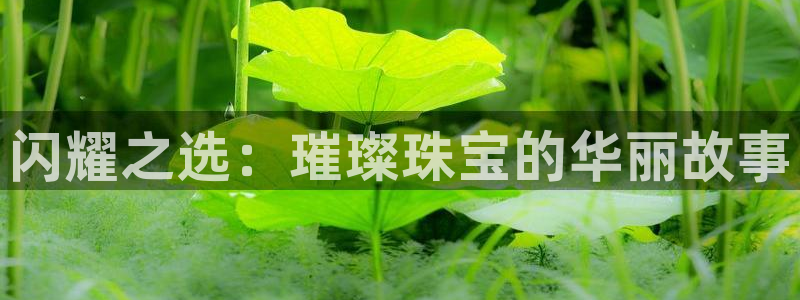 新航娱乐