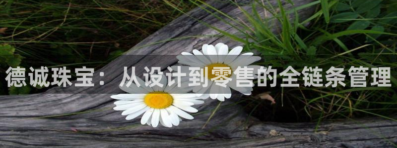 新航机上娱乐