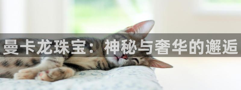 新航虚拟娱乐