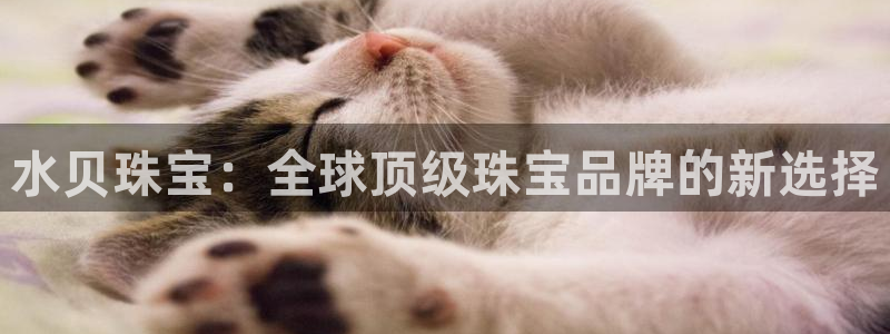 新航娱乐传媒招聘