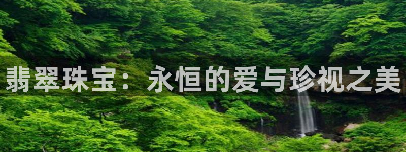 新航娱乐的创始人简介