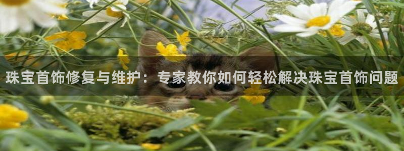 新航娱乐最高返点多少