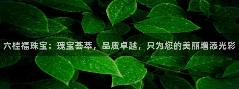 新航sq806娱乐系统
