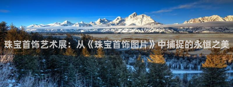 新航娱乐怎么样知乎