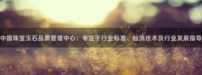 新航城娱乐传媒有限公司