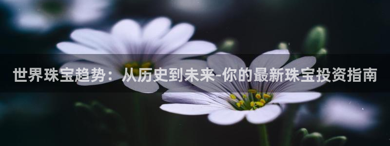 新航海娱乐会所地址查询