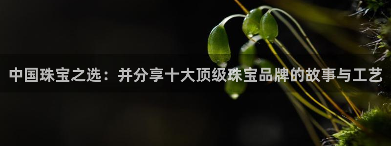 新航娱乐代理