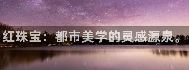 新航娱乐公司地址查询