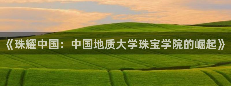 新航 娱乐系统