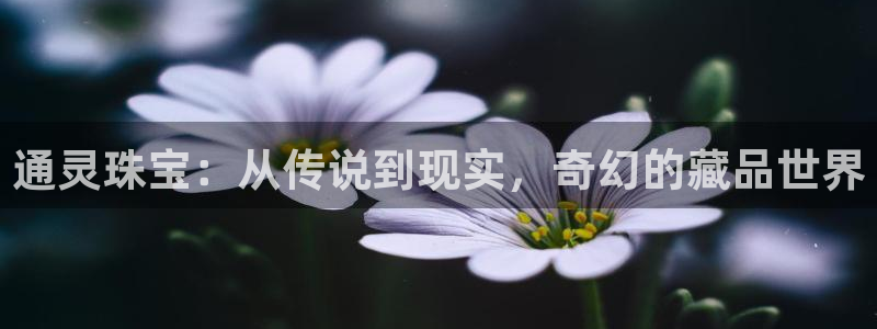 邯大新航娱乐