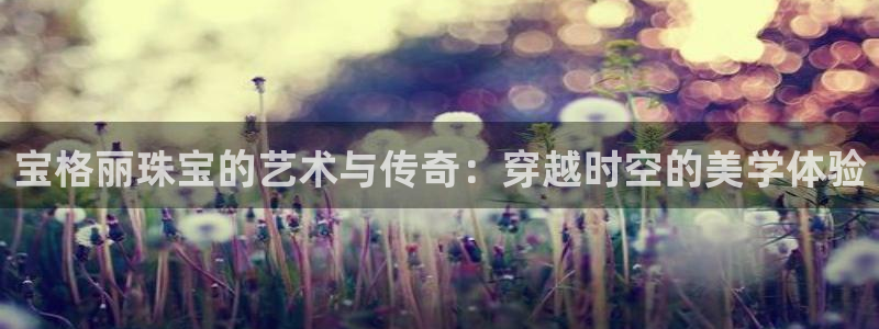 新航娱乐传媒招聘电话