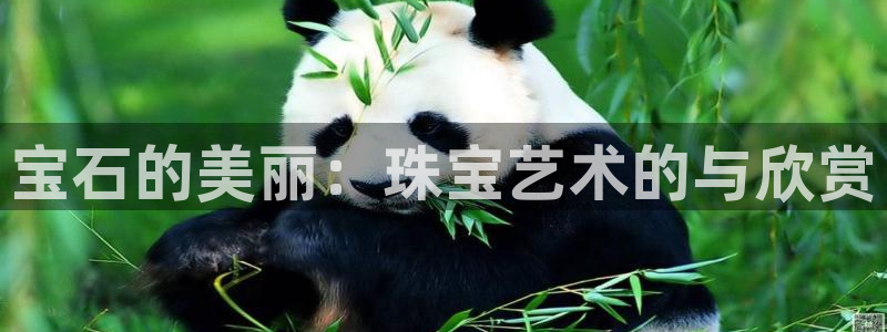 新航娱乐有方法开挂吗