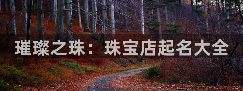新航娱乐公司地址查询