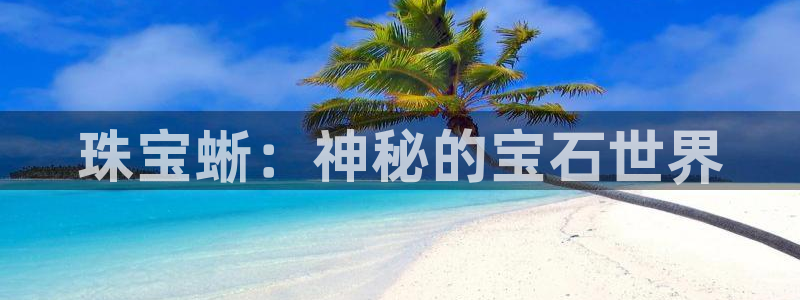 新航娱乐官网入口