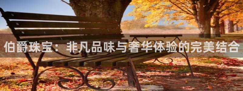 新航飞机椅背娱乐设备