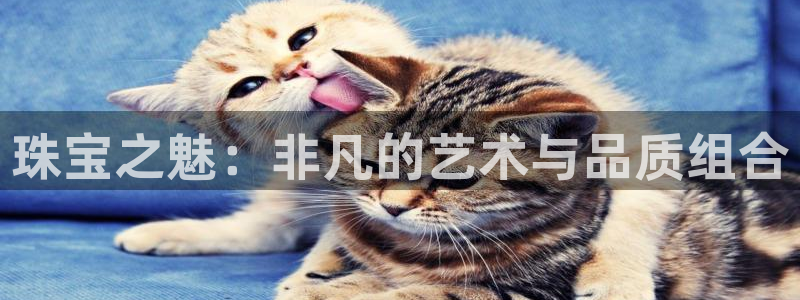 成都中创新航娱乐区