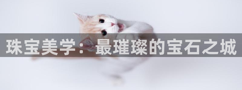 新航城娱乐传媒有限公司