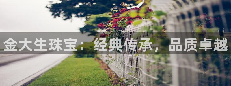 新航头等舱套房娱乐屏