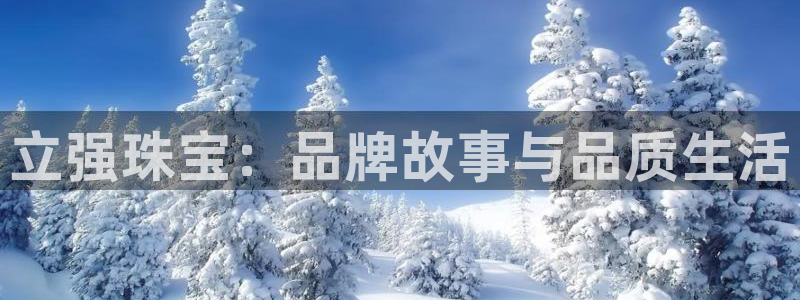 新航娱乐开户