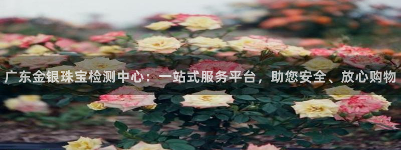 新航新客舱机上娱乐银