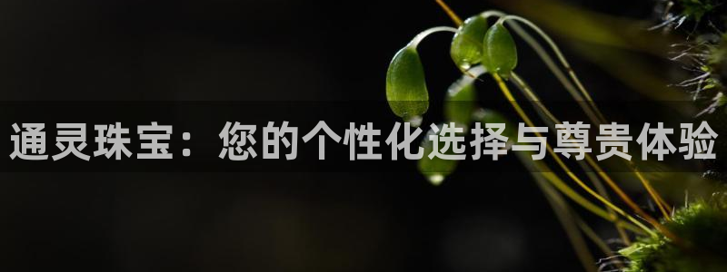 新航娱乐公司招聘信息网