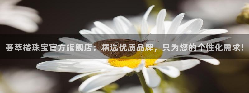 娱乐新航母