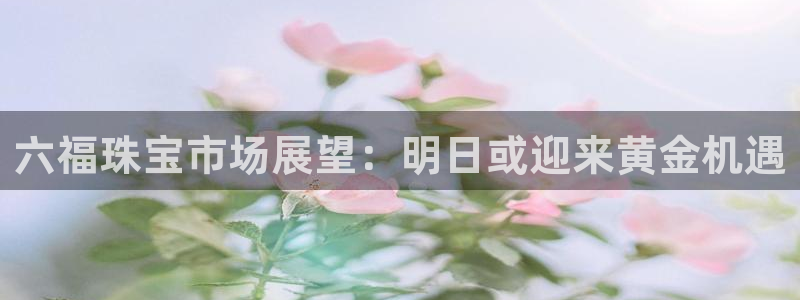 新航线娱乐