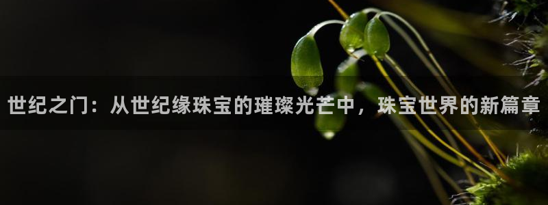 娱乐新航标
