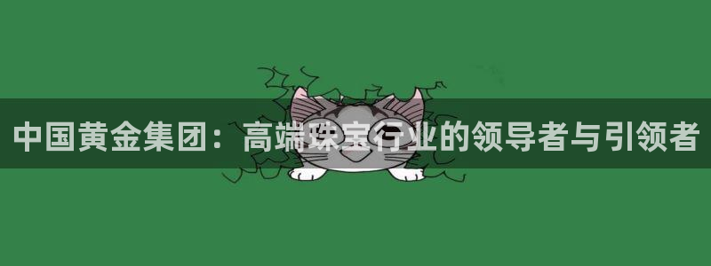 新航娱乐扣款详情