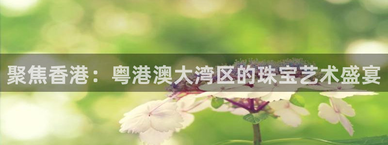新航海娱乐会所地址