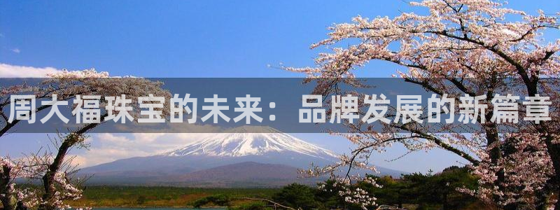 新航娱乐登录注册