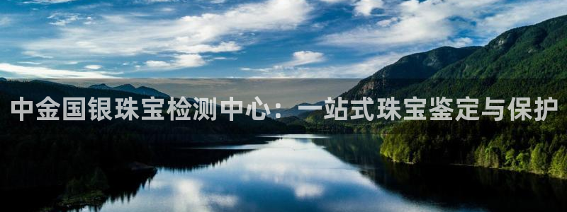 新航娱乐平台