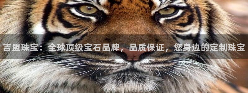 新航海娱乐会所电话地址