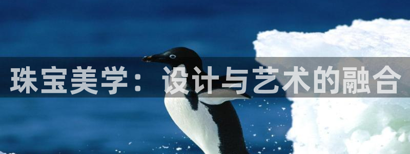 新航娱乐登录大厅