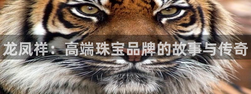 新航娱乐传媒怎么样啊