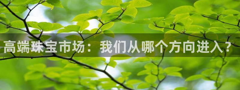 新航娱乐公司旗下艺人：高端珠宝市场：我们从哪个方向进入？