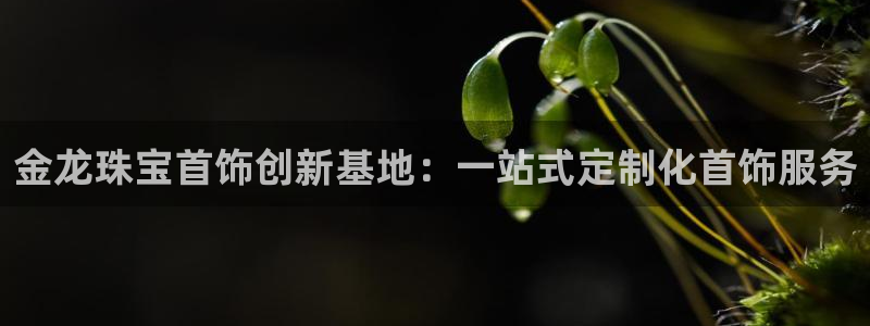 新航国际娱乐：金龙珠宝首饰创新基地：一站式定制化首饰服务