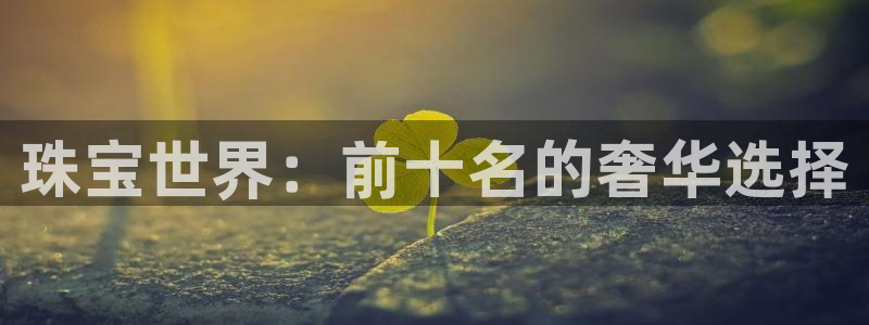 新航机上娱乐
