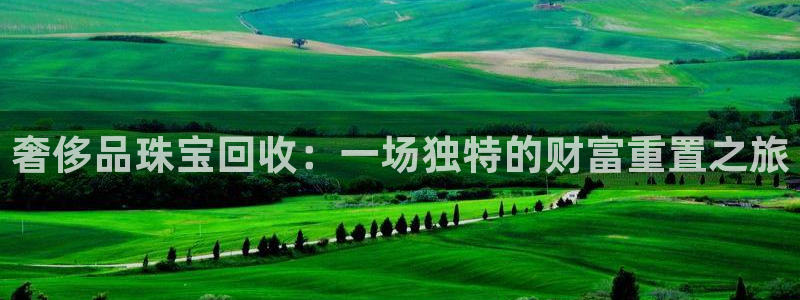 新航娱乐街7O935：奢侈品珠宝回收：一场独特的财富重置之旅
