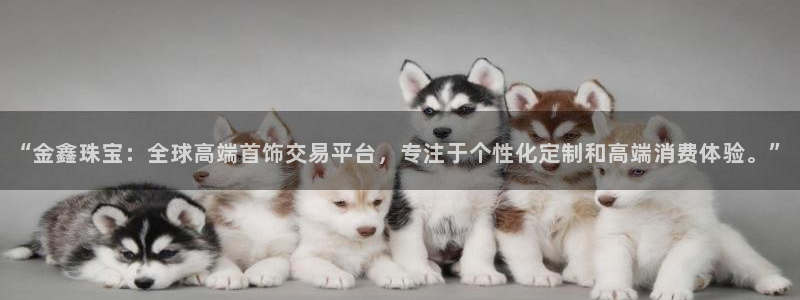 新航海娱乐会所地址电话：“金鑫珠宝：全球高端首饰交易平台，专