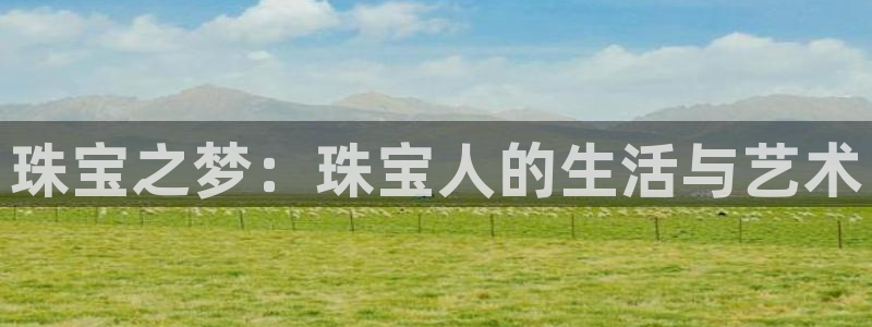 新航娱乐公司