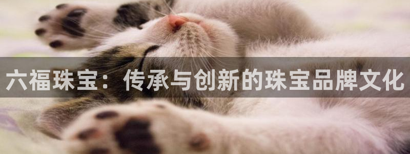 新航海娱乐会所怎么样啊：六福珠宝：传承与创新的珠宝品牌文化