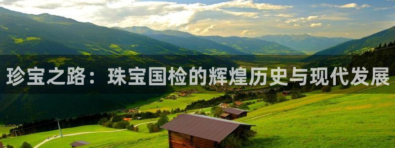 新航面试娱乐