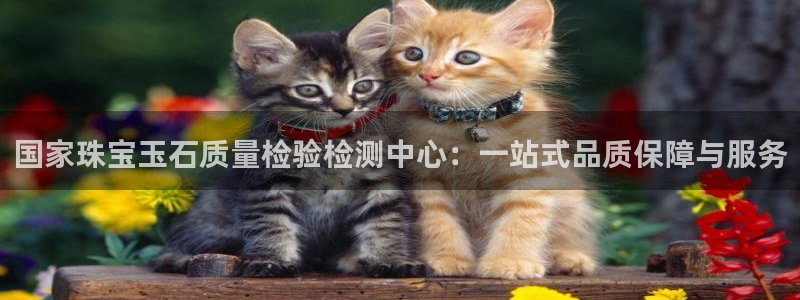 娱乐搞笑新航线：国家珠宝玉石质量检验检测中心：一站式品质保障