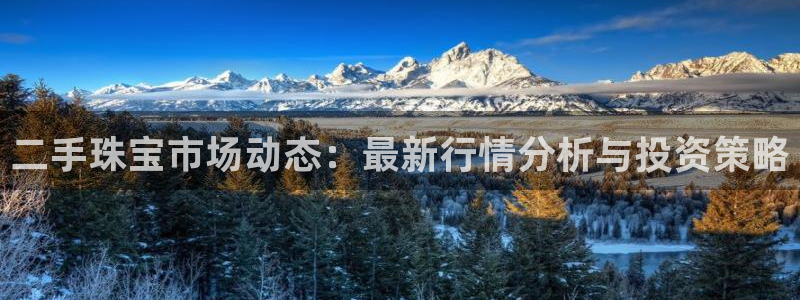 新航娱乐黑：二手珠宝市场动态：最新行情分析与投资策略
