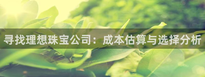 新航娱乐传媒怎么样啊：寻找理想珠宝公司：成本估算与选择分析