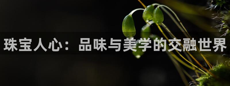 新航娱乐传媒招聘电话：珠宝人心：品味与美学的交融世界