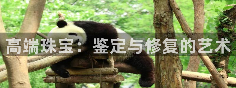 新航娱乐传媒招聘：高端珠宝：鉴定与修复的艺术