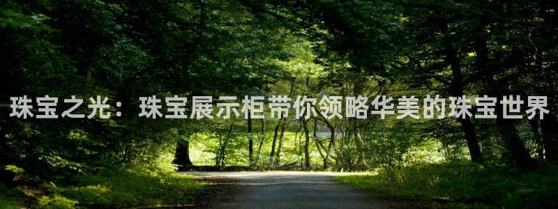 阜新航空娱乐